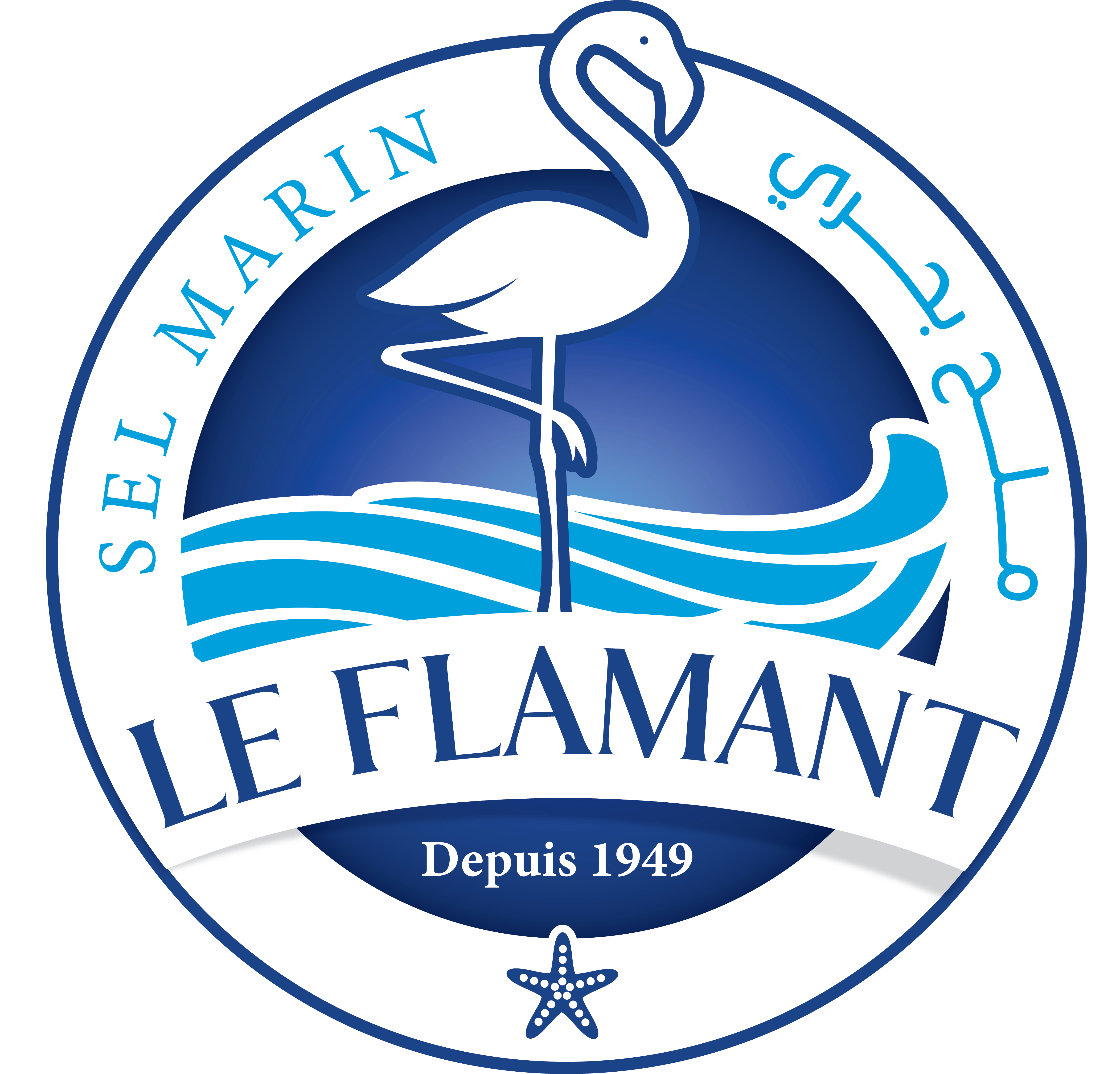 Le Flamant